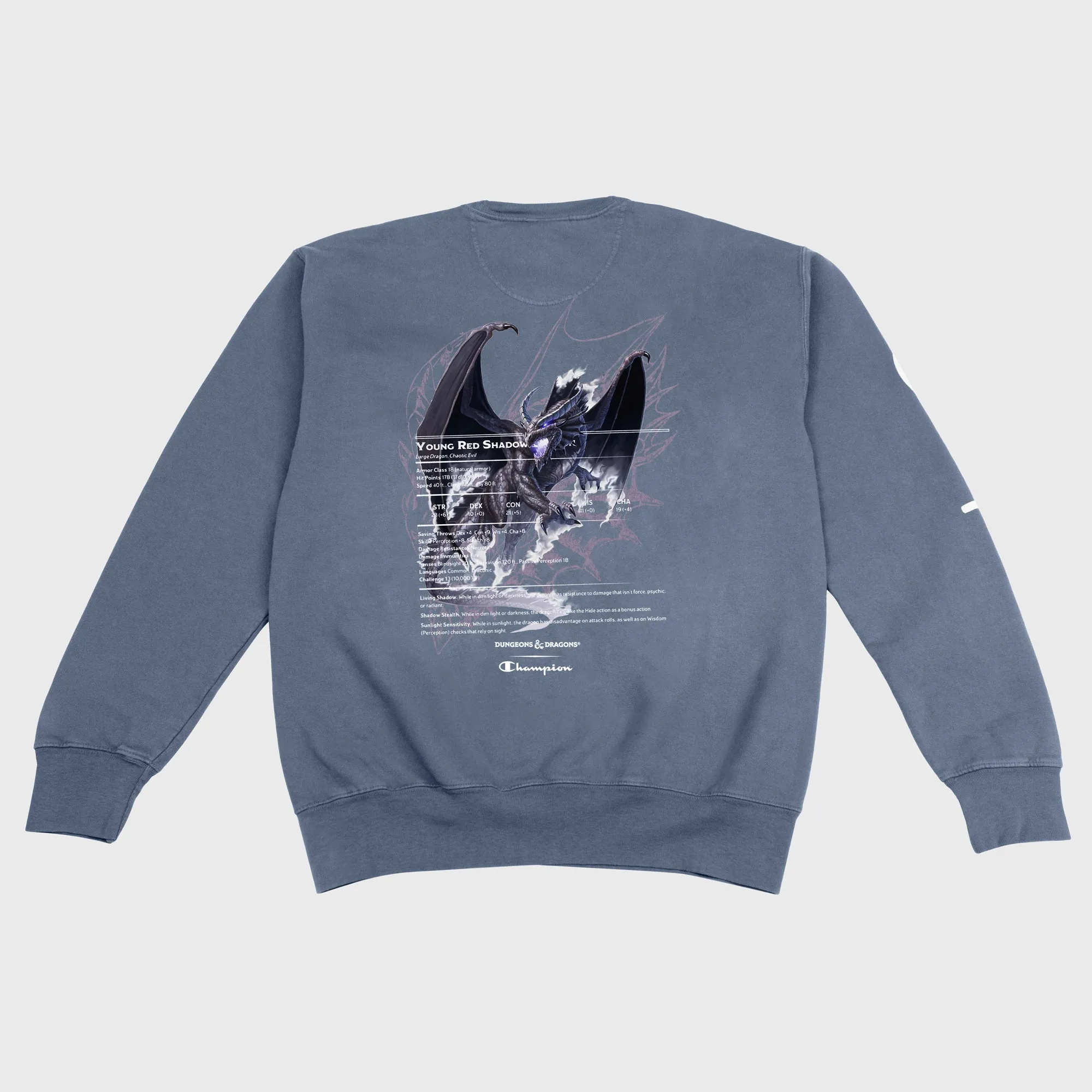 Dungeons & Dragons x Champion - Red Shadow Dragon Pullover