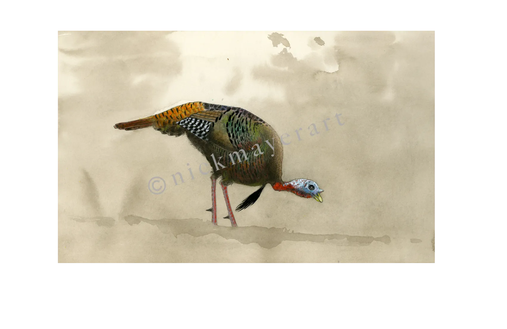 Feeding Tom Turkey Original Watercolor Painting