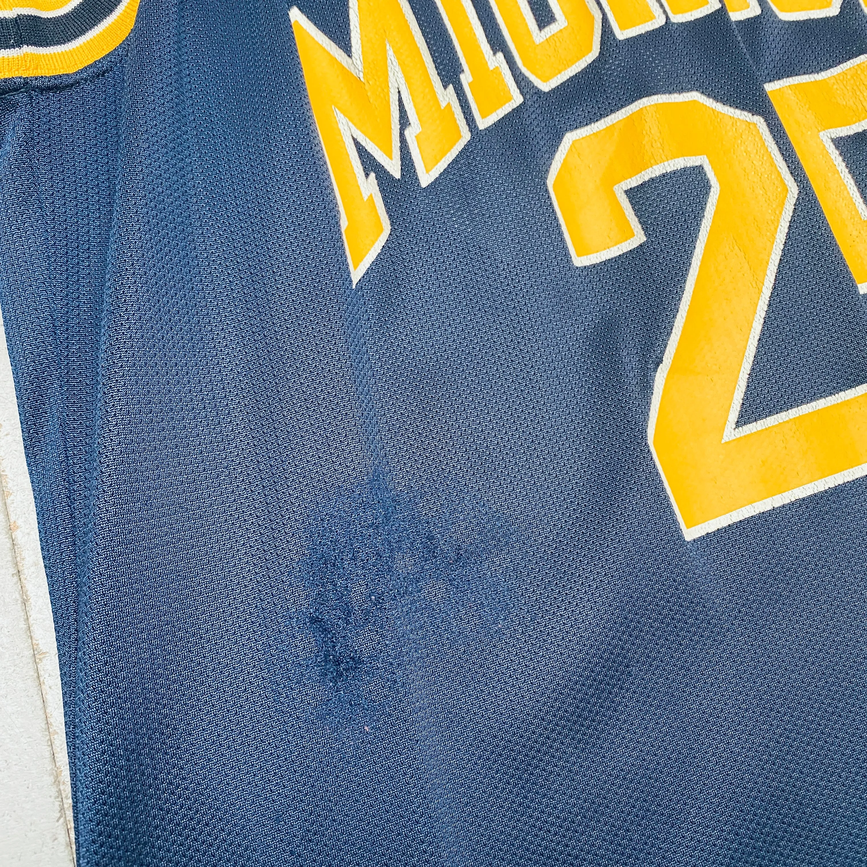 Michigan Wolverines: 1990's No. 25 Champion Jersey (L)