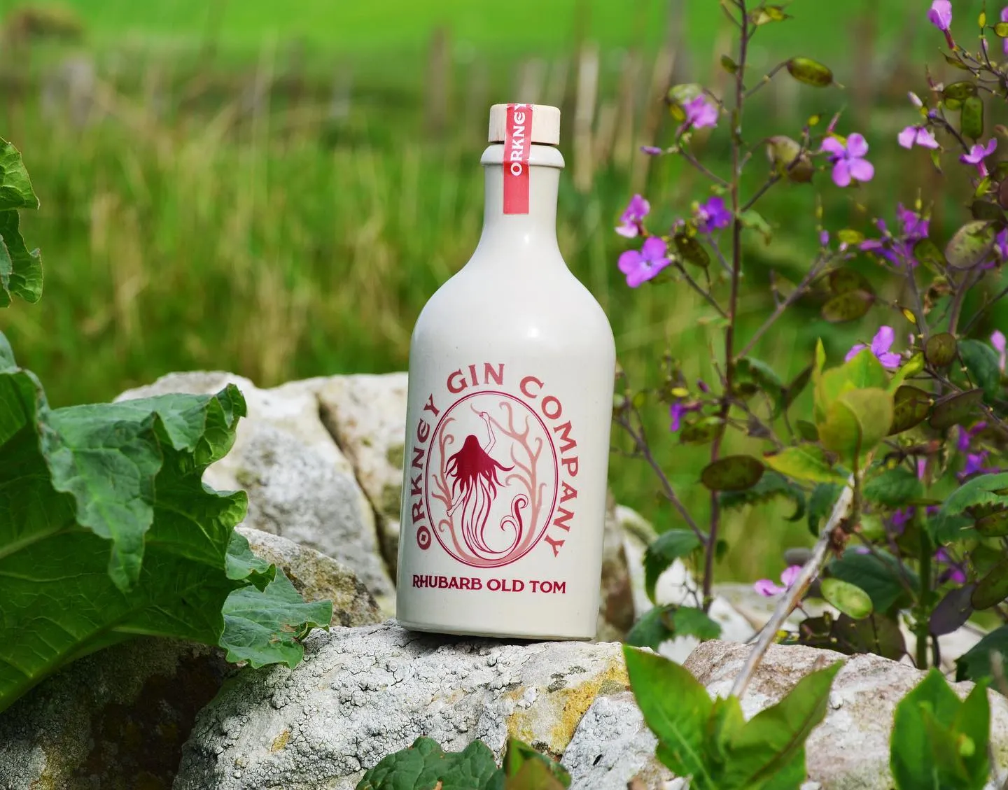 Orkney Gin Company - Rhubarb Old Tom Gin