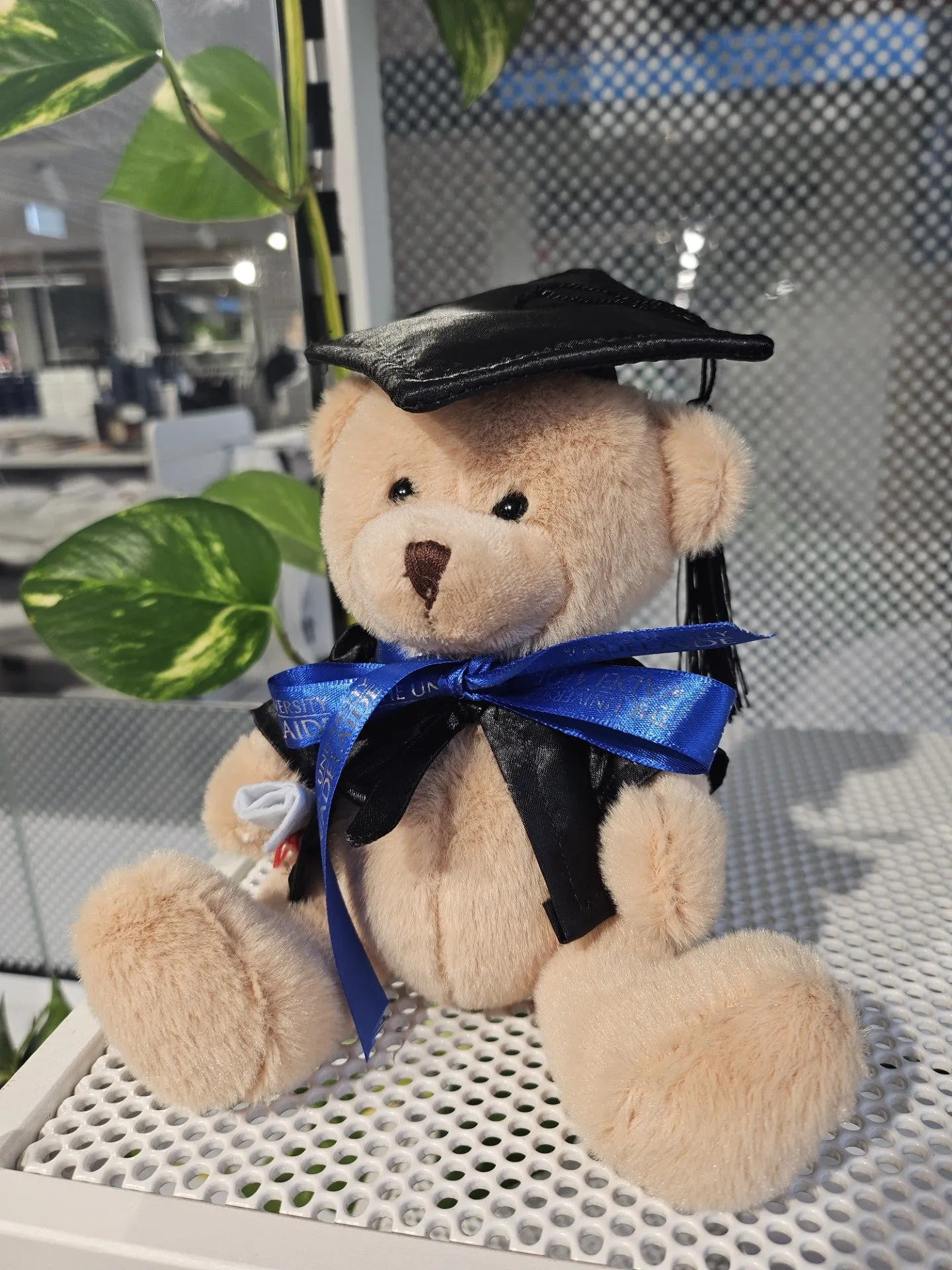 Tom Bear 16cm